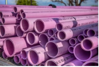 Purple Pipes photo